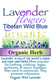 Lavender Wild Organic