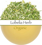 Lobelia Organic
