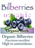 Bilberry Fruit Organic