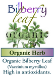 Bilberry Leaf Organic