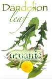 Dandelion Leaf Organic