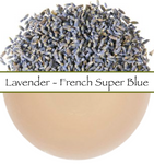 Lavender Super Blue French