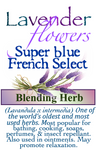 Lavender Super Blue French