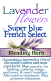 Lavender Super Blue French