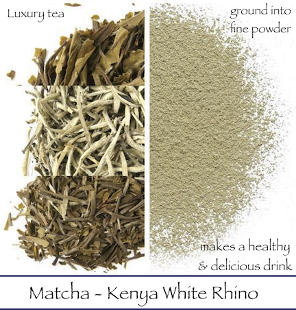 Kenya White Rhino Matcha